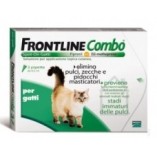frontline gatti