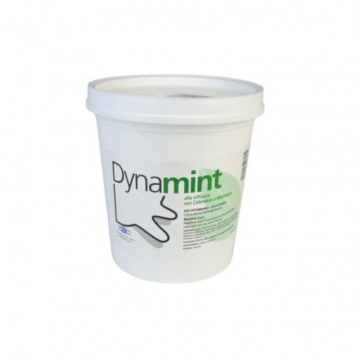 DYNAMINT-1kg-crema-risolvente-lenitiva